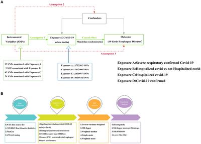 The causal relationship between COVID-19 and ten esophageal diseases: a study utilizing Mendelian randomization